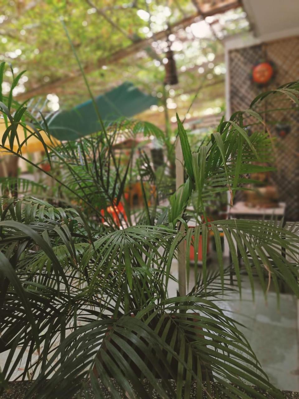 Srinekatan Heritage Villa Homestay Amhedabad Dış mekan fotoğraf